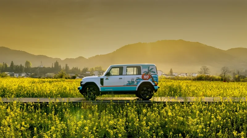 iCAR gallery